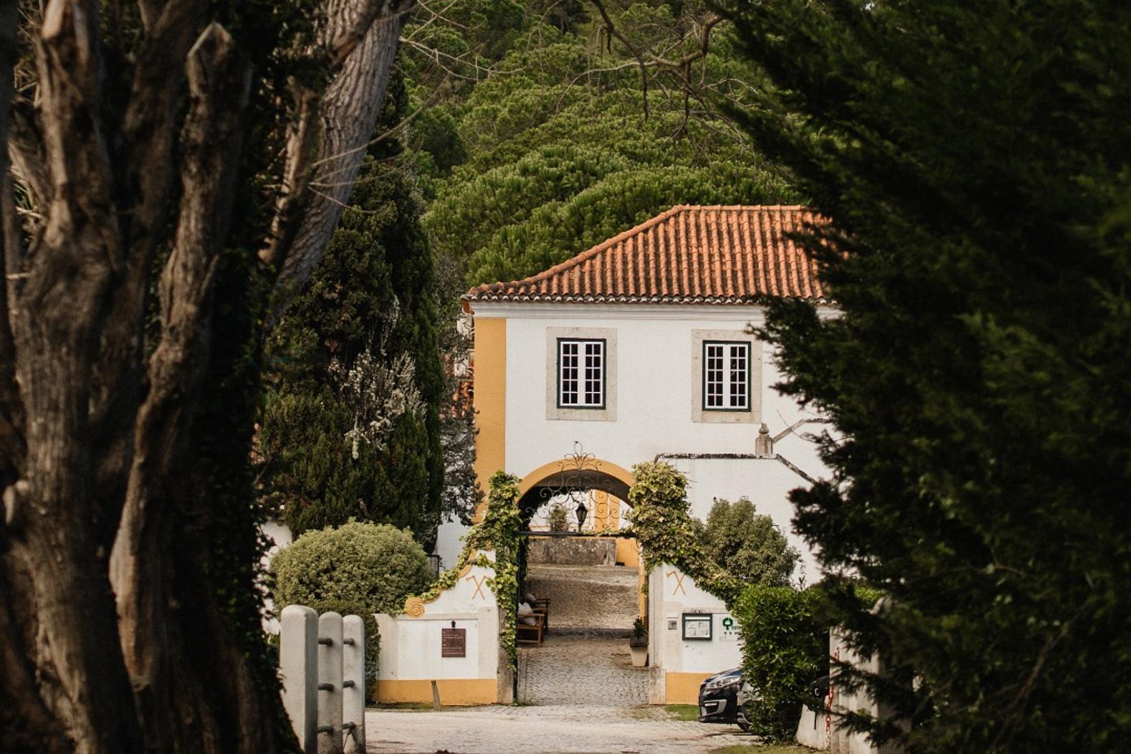 Magical forest-edge estate with swimming pool just 30 minutes from Lisbon