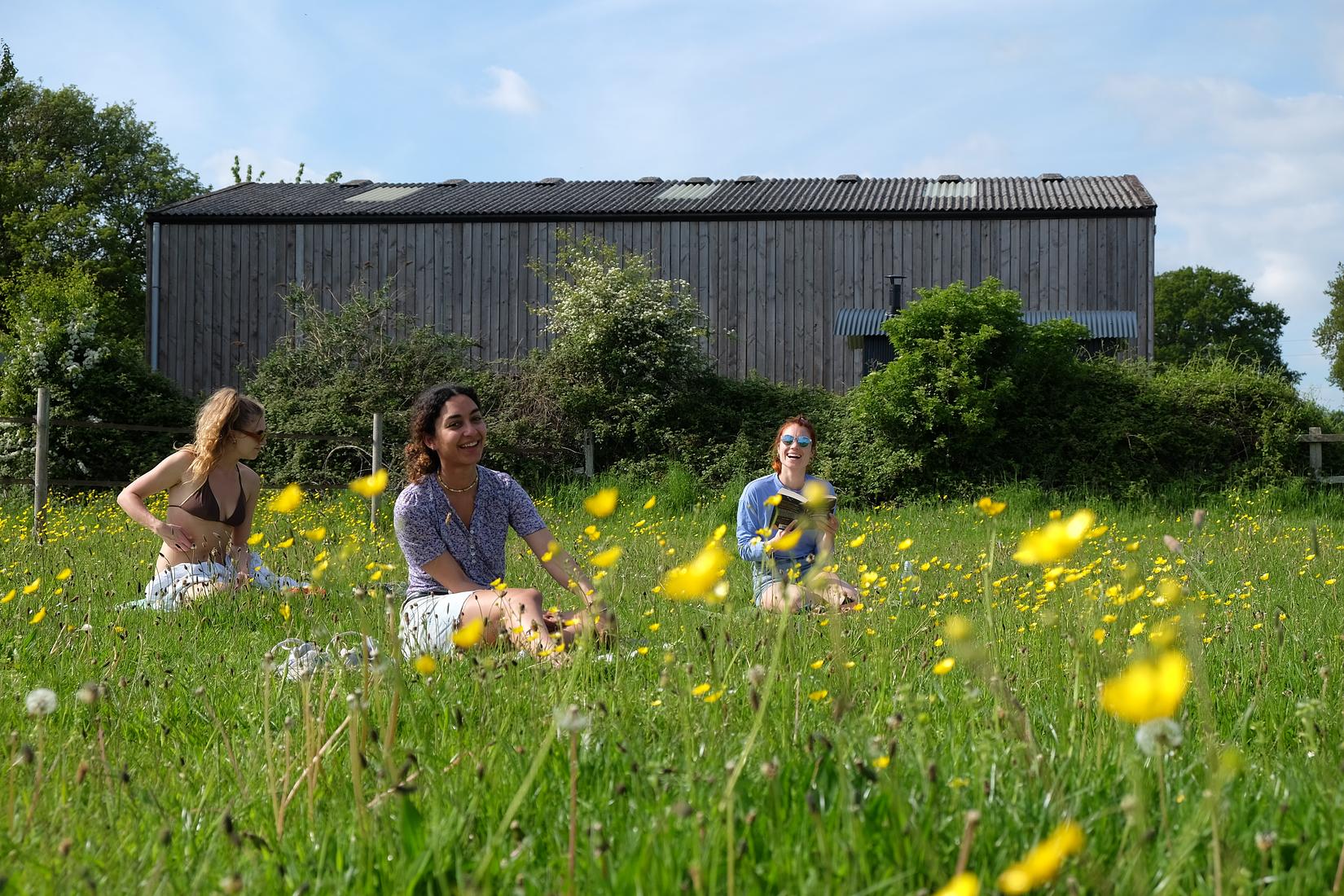 Organic woodland farm retreat in the South Downs just over an hour from London