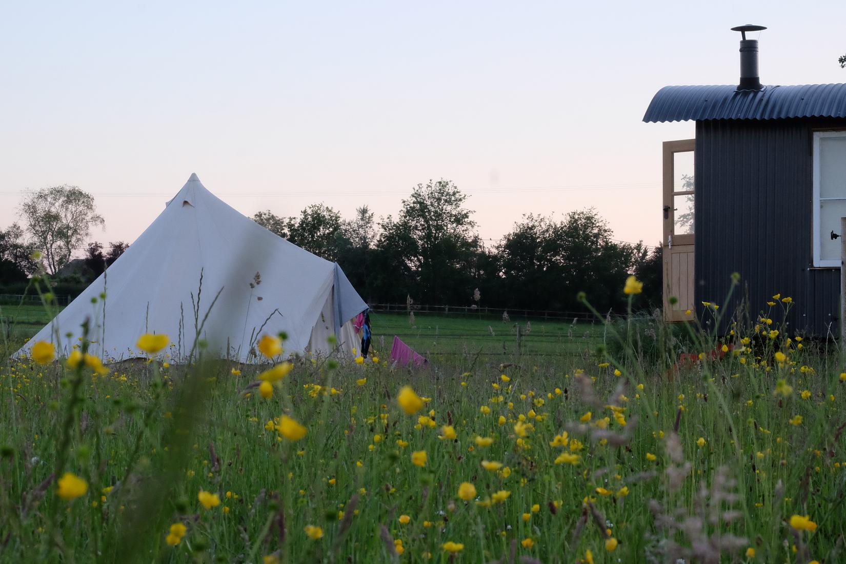 Organic woodland farm retreat in the South Downs just over an hour from London